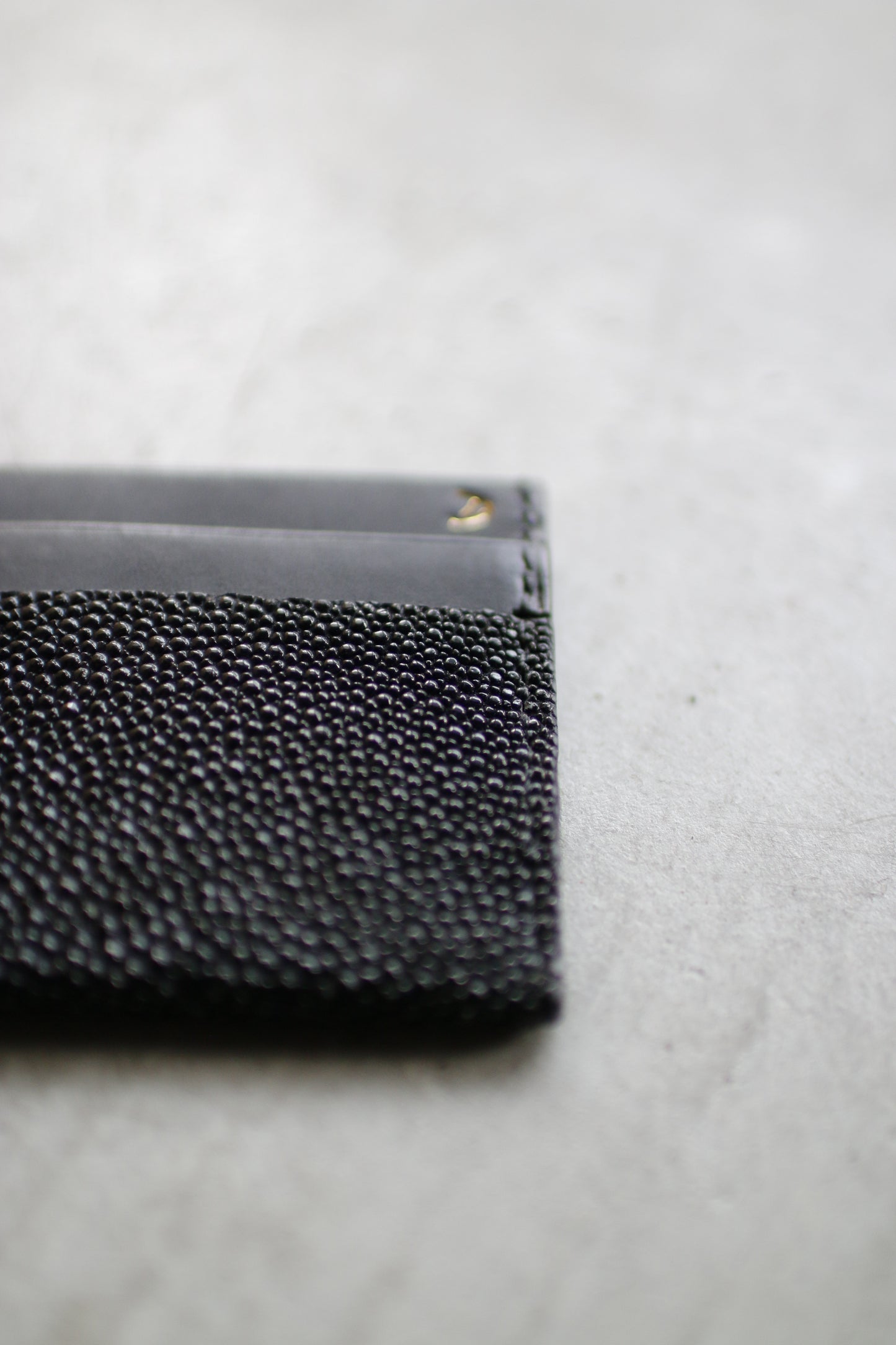 【オーダー】ガルーシャカードケース